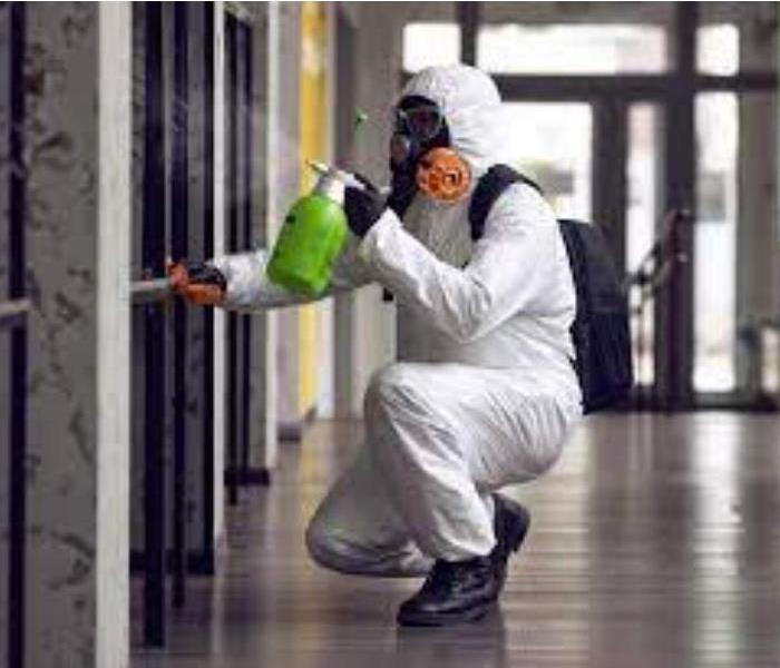 Technician in PPE spraying a mold affected wall