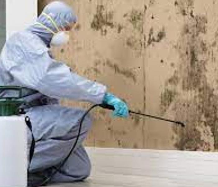 What causes mold?