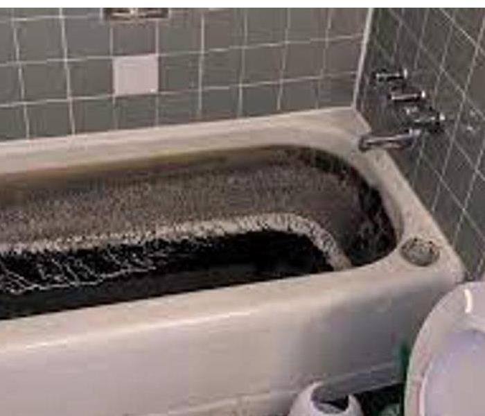 Don't DIY when it comes to raw sewage