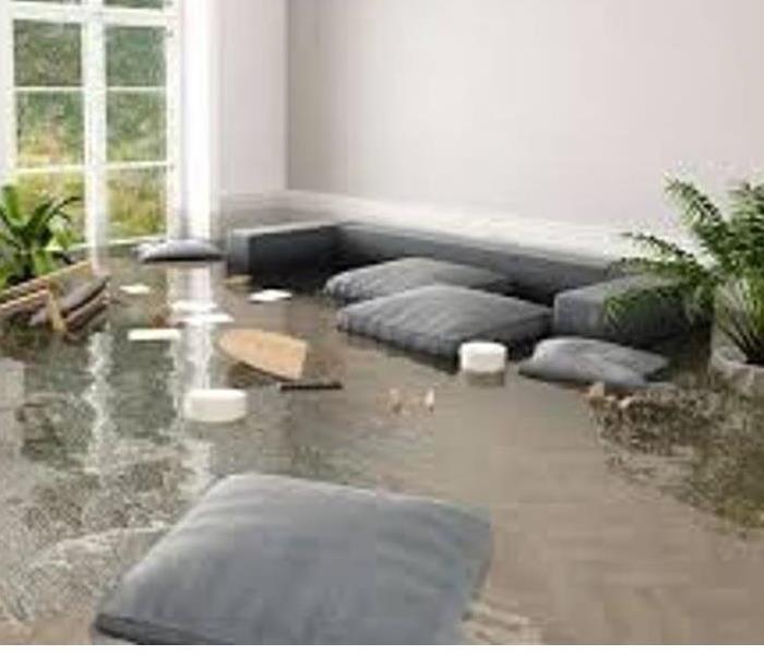 So why do you need professional water damage cleanup company help? Image of flooded room.
